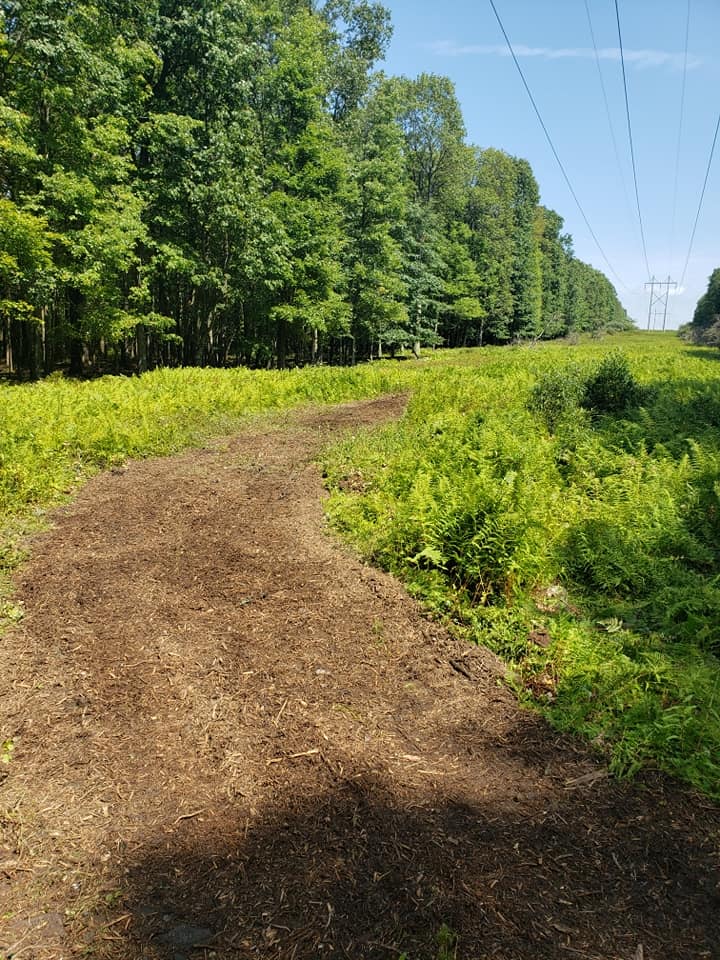 Black Mo Trail Work1